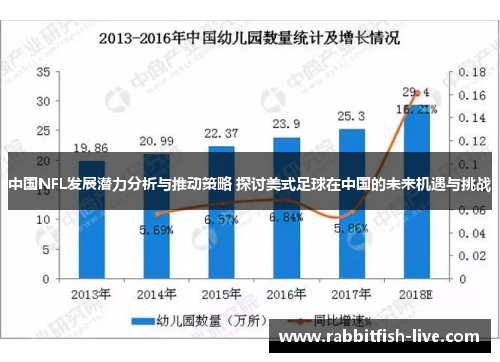 中国NFL发展潜力分析与推动策略 探讨美式足球在中国的未来机遇与挑战